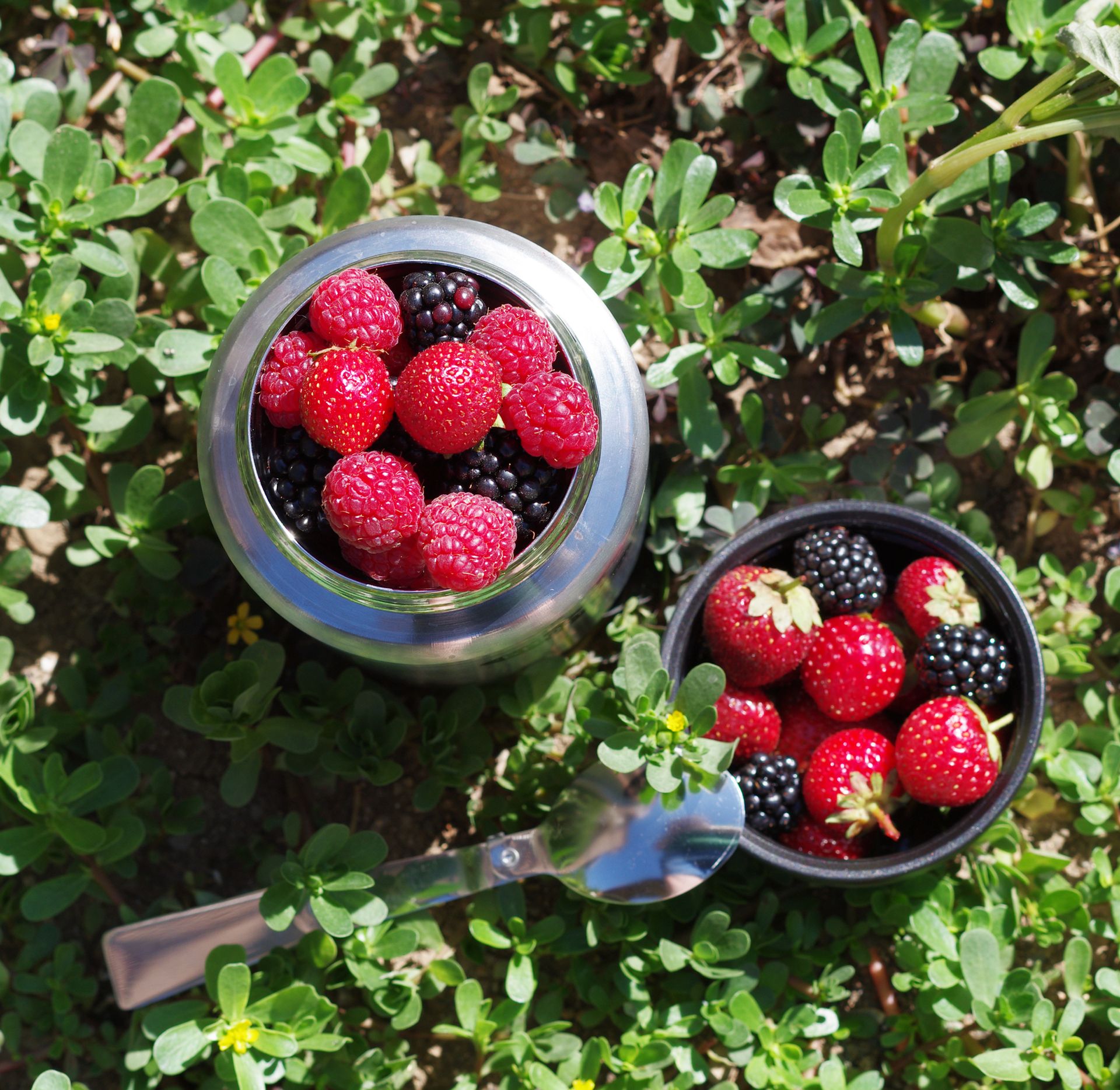 Термос "Biostal-Охота" ш/г, суповой с ложкой, вороненая сталь, NTS-750V, емкость 0.75 л Термос "Biostal-Охота" ш/г, суповой с ложкой, вороненая сталь, NTS-750V, емкость 0.75 л